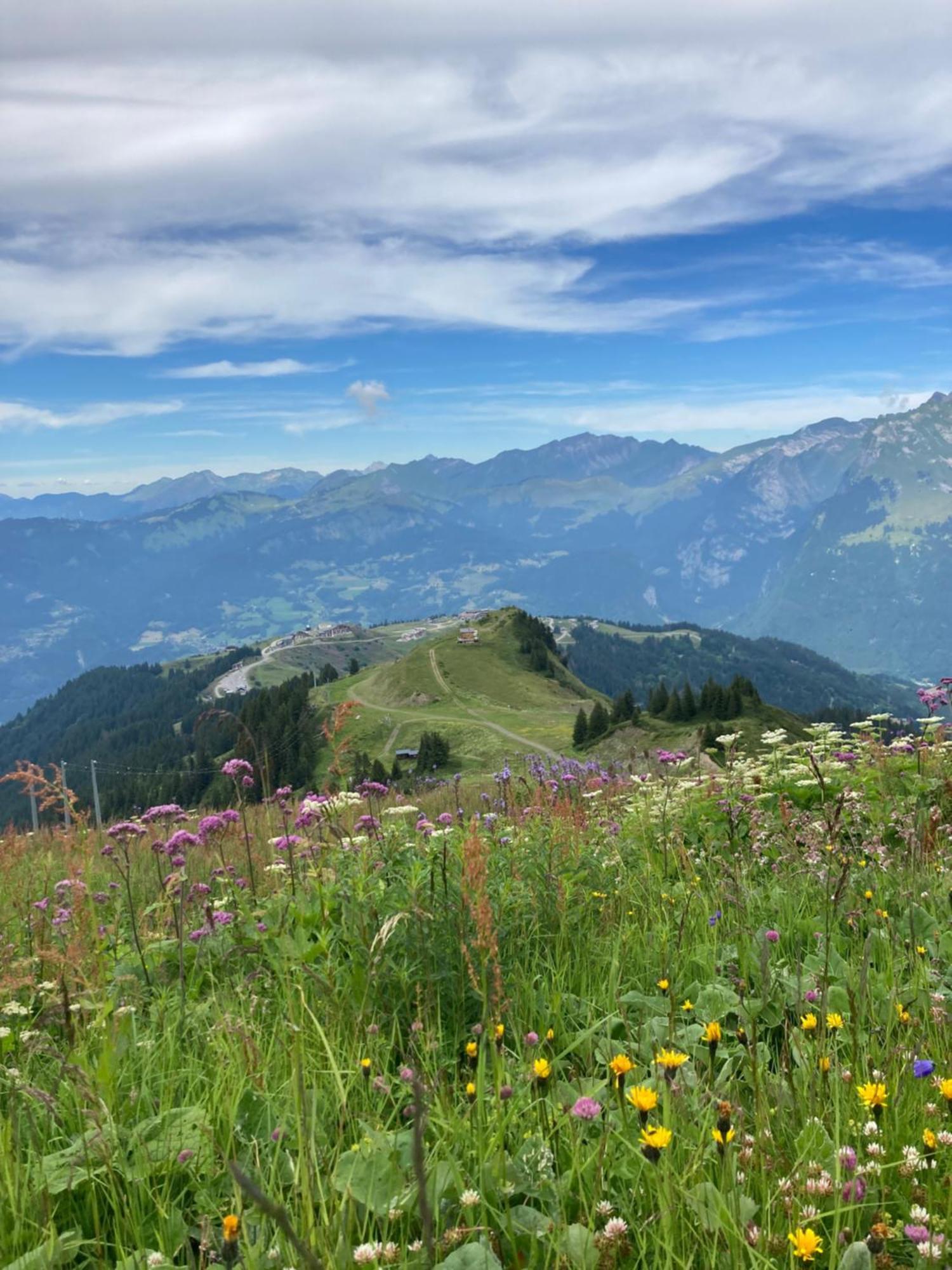 Plein Soleil Modern 3 Bedroom Apartment With Stunning Mountain Views Samoëns Dış mekan fotoğraf